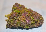 Medicine Man Medical Market