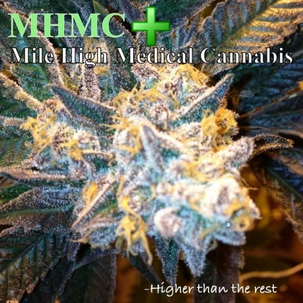 Mhcc