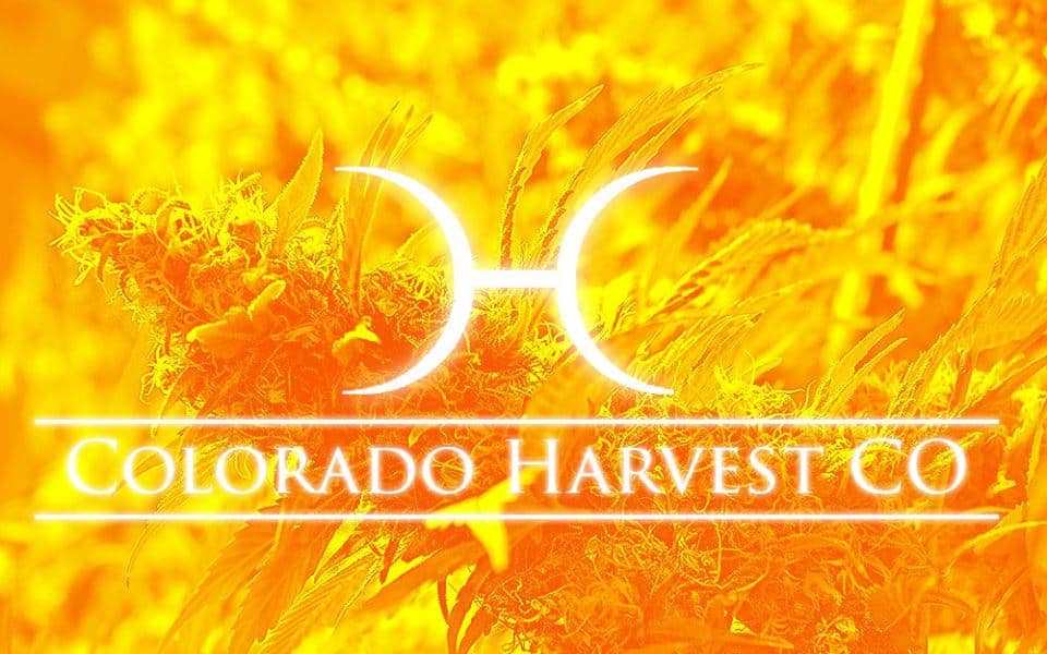 colorado harvest company square feet colorado harvest company square feet