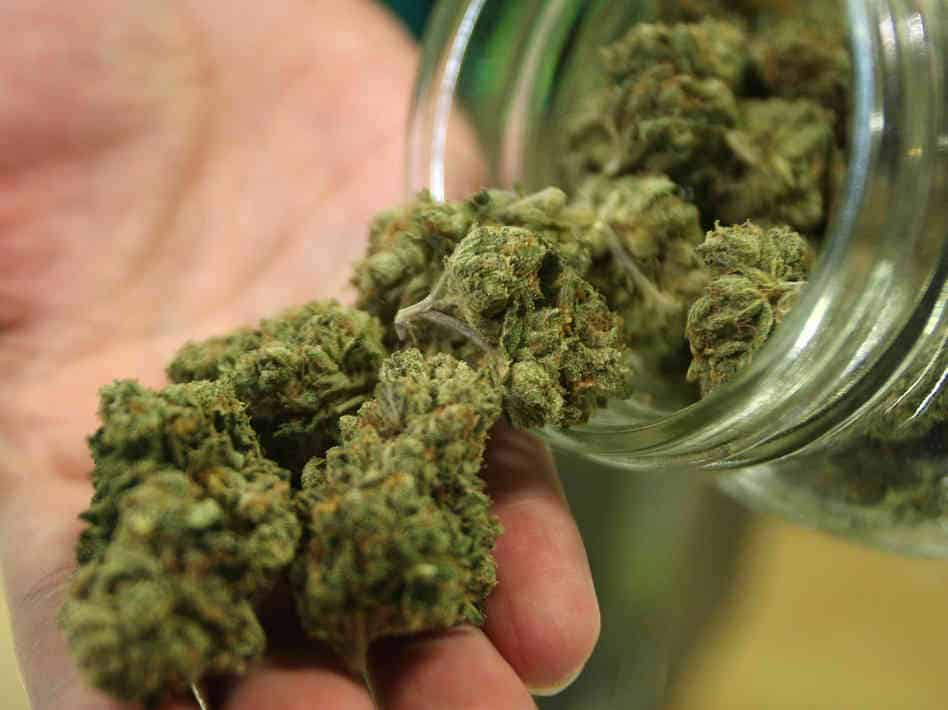 Organix recreational marijuana dispensary