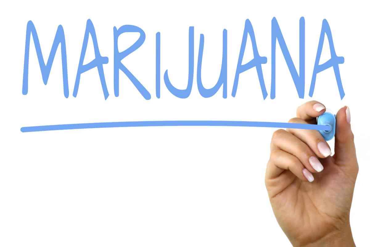 The word marijuana written on a whiteboard