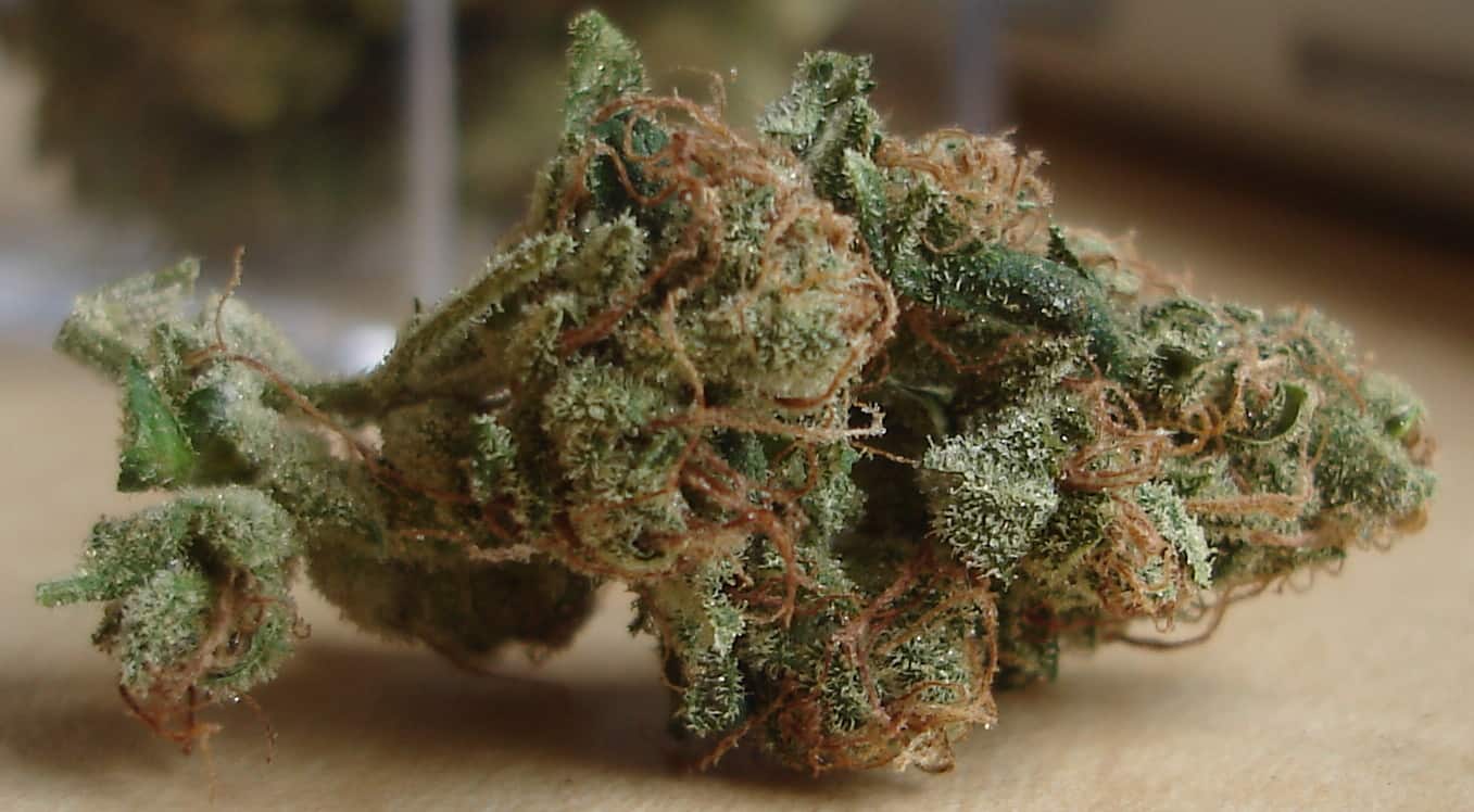 Sour Diesel sativa marijuana strain on top of a wooden table