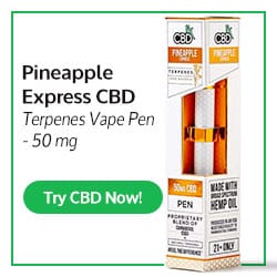 Recreational Marijuana Denver Dispensaries Denver Colorado Dispensary