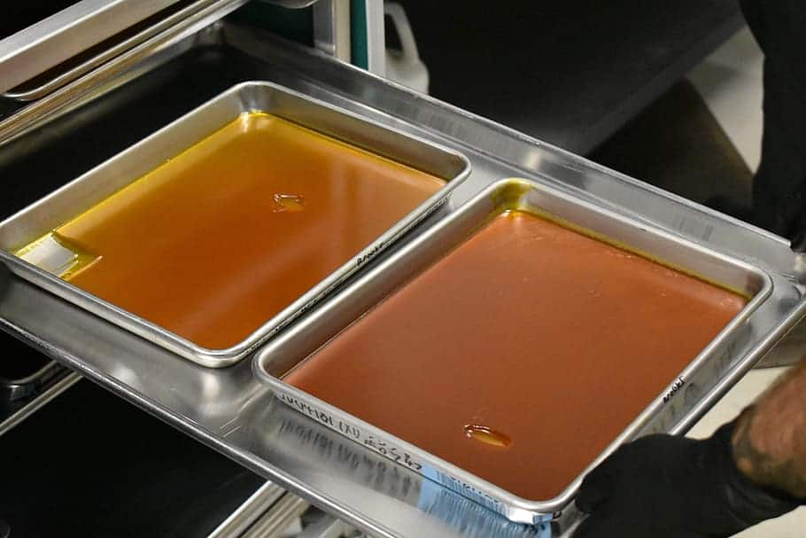 Marijuana Hash Concentrate Oil in Pans