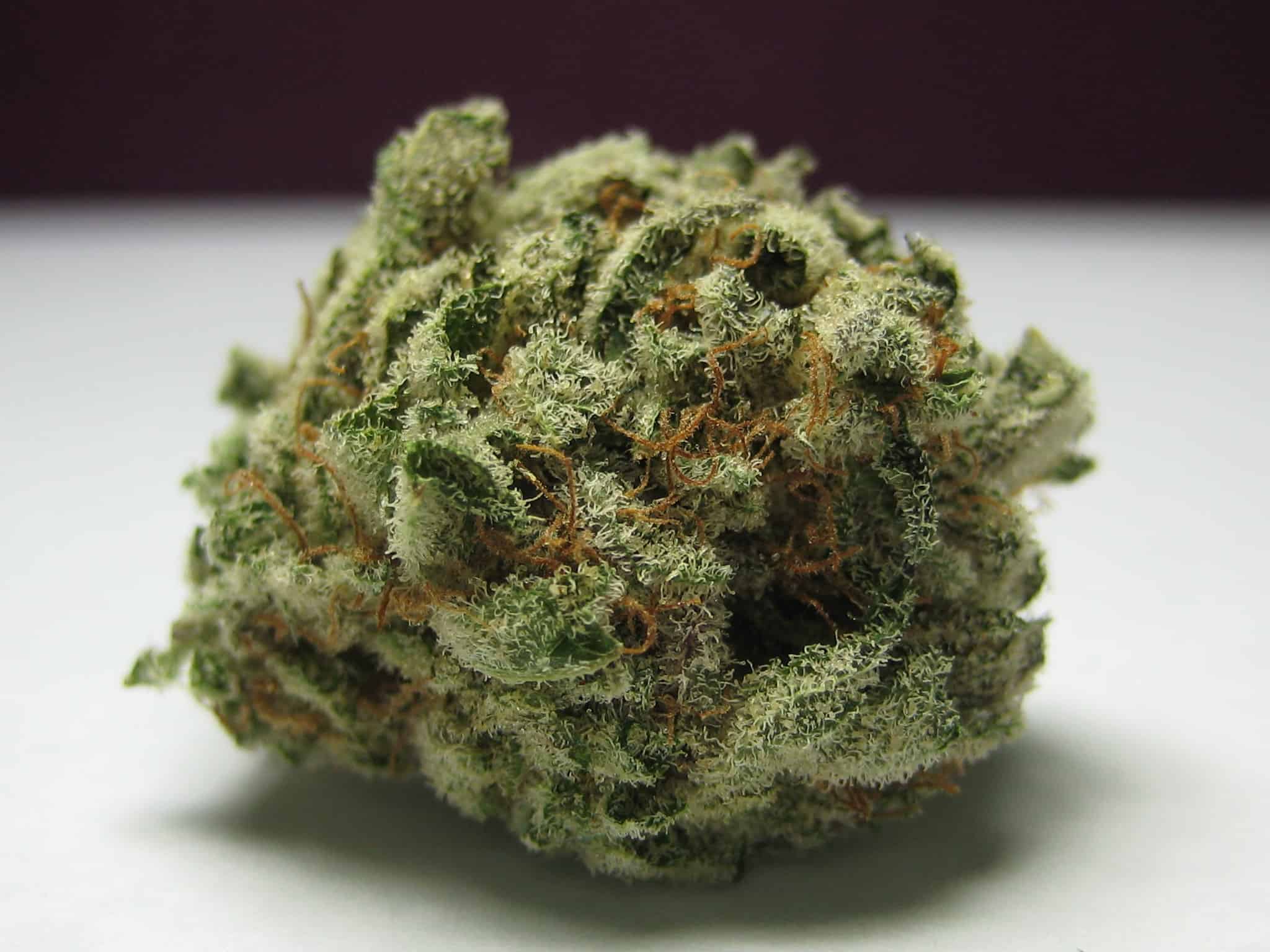 blackberry kush