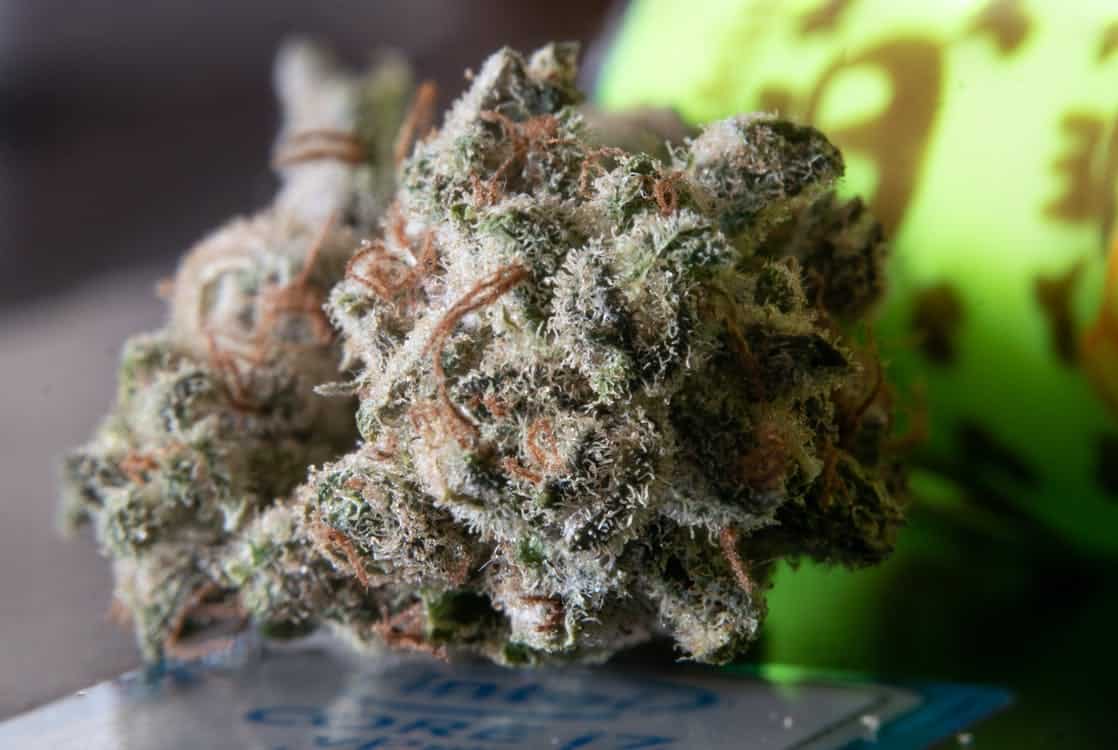 Wedding Cake Strain — A History of the Strain, Effects, and Characteristics