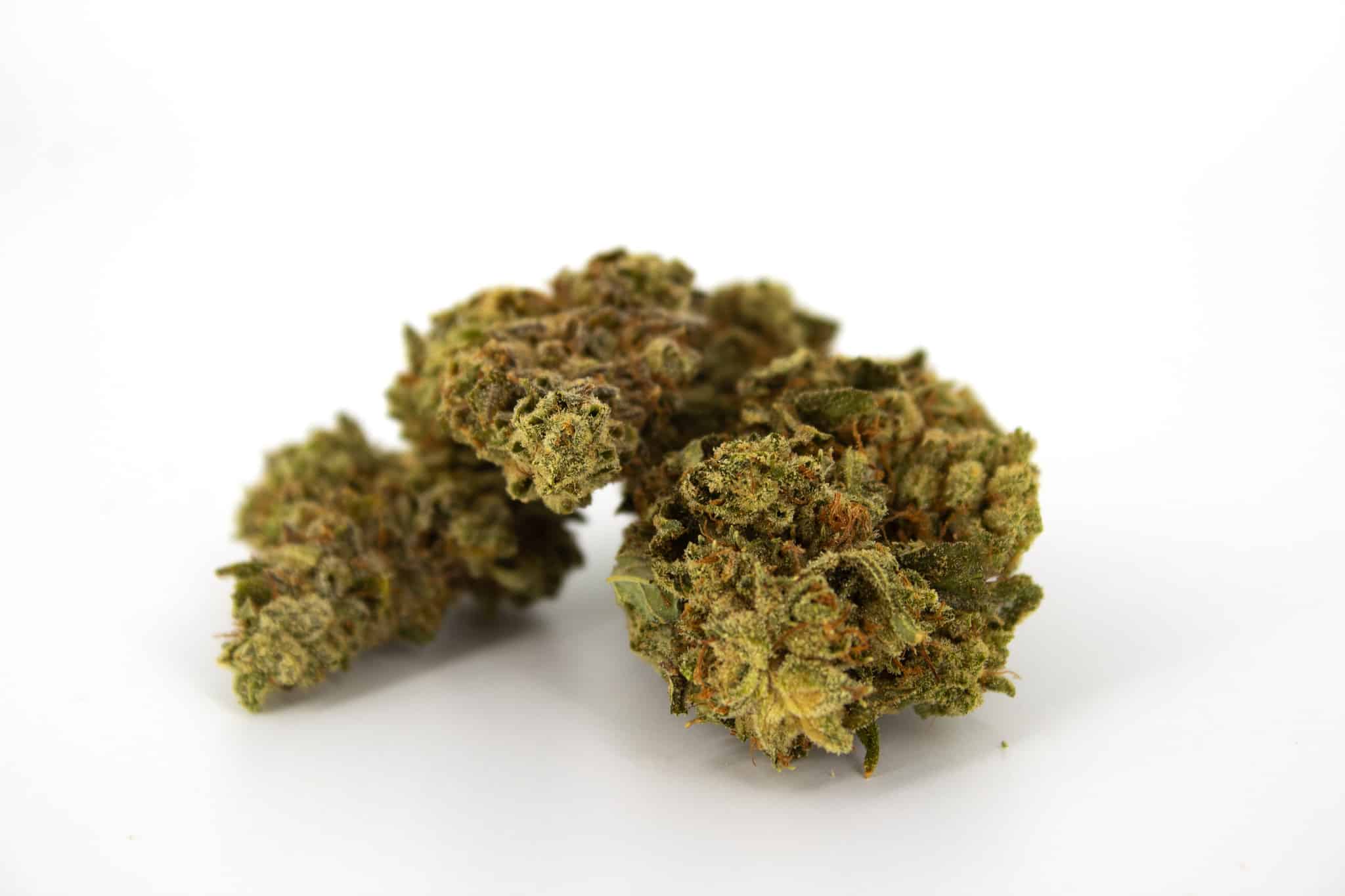 Gorilla Glue Strain - A history of a strain