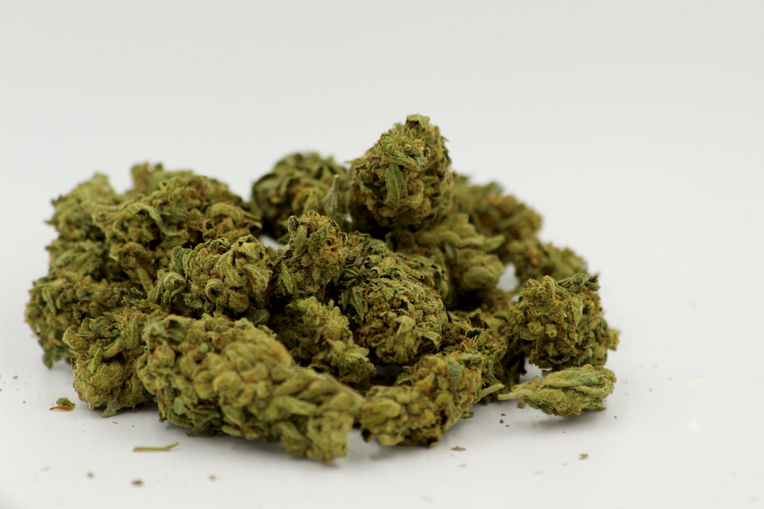 Gorilla Glue Strain A history of a strain