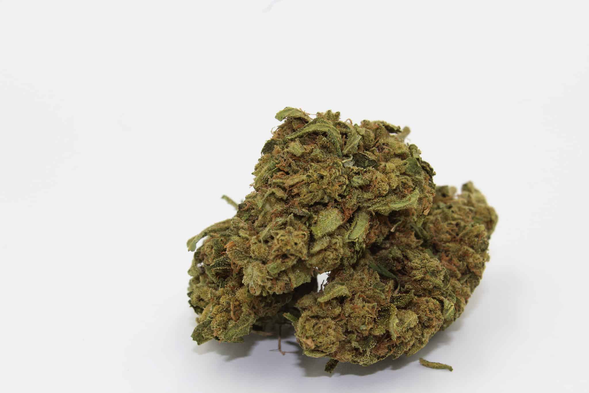 Gorilla Glue Strain - A history of a strain