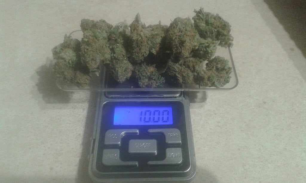 cannabis on a digital scale