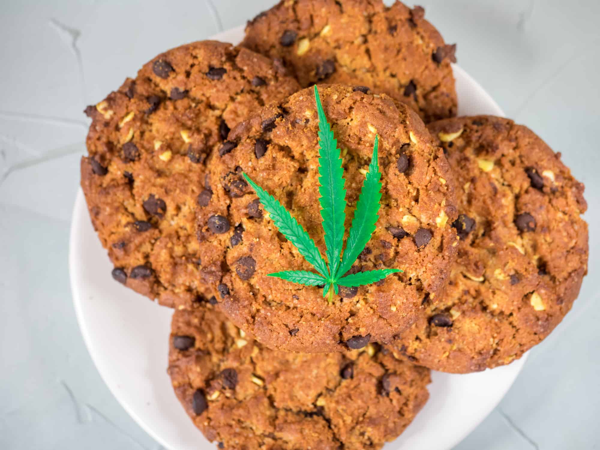 Chocolate chip Cookies with marijuana leaf on top