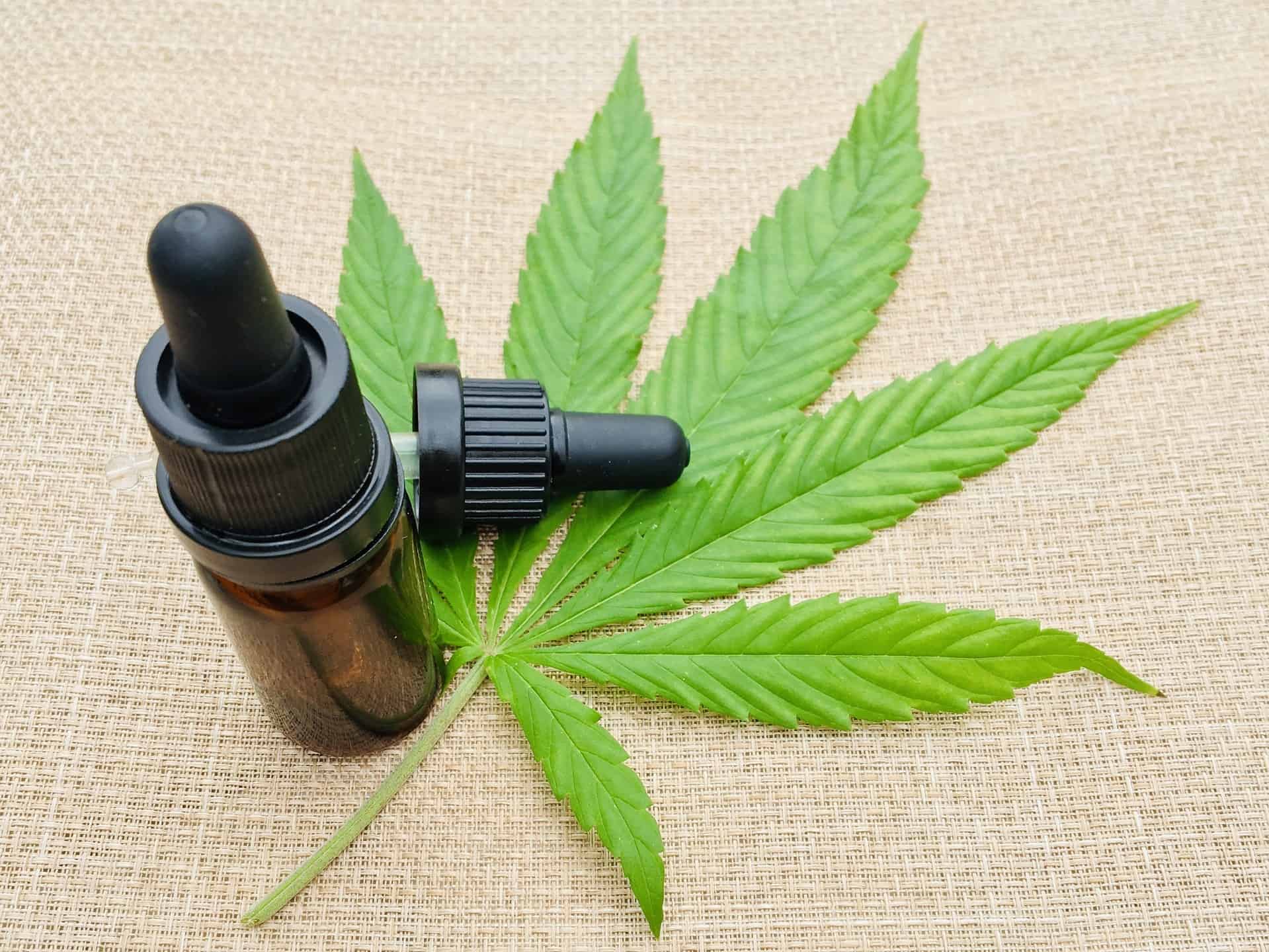 cannabis oil in a bottle with dropper and and cannabis leaf