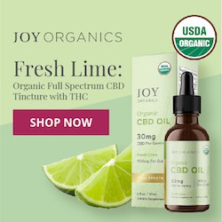 Joy Organics Fresh Lime Organic Full Spectrum CBD Tincture with THC shop now banner