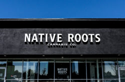 Native roots colorado blvd