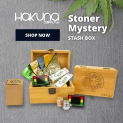 Hakuna Supply Stoner Mystery Stash Box shop now poster