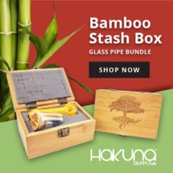 Hakuna Supply Bamboo Stash Box glass pipe bundle shop now banner