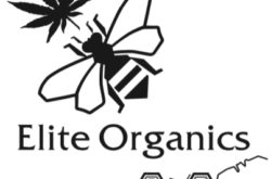 1654541742 elite organics logo