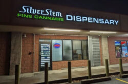 Silver Stem   storefront