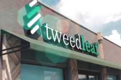 Tweed leaf north academy storefront