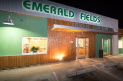 Emerald fields mantou dispensary storefront