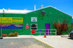 Green tree medicinal Berthoud Store