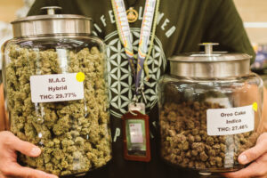 lf_website_gallery_cannabisjars