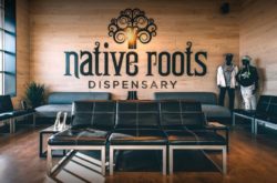 Inside native roots quincy