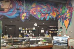 Inside natures medicine dispensary