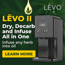 Levo II   Oil Infusion